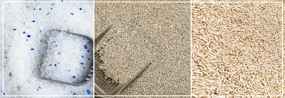 Kattenbakvulling kiezen: klontvormend, hout of silica.