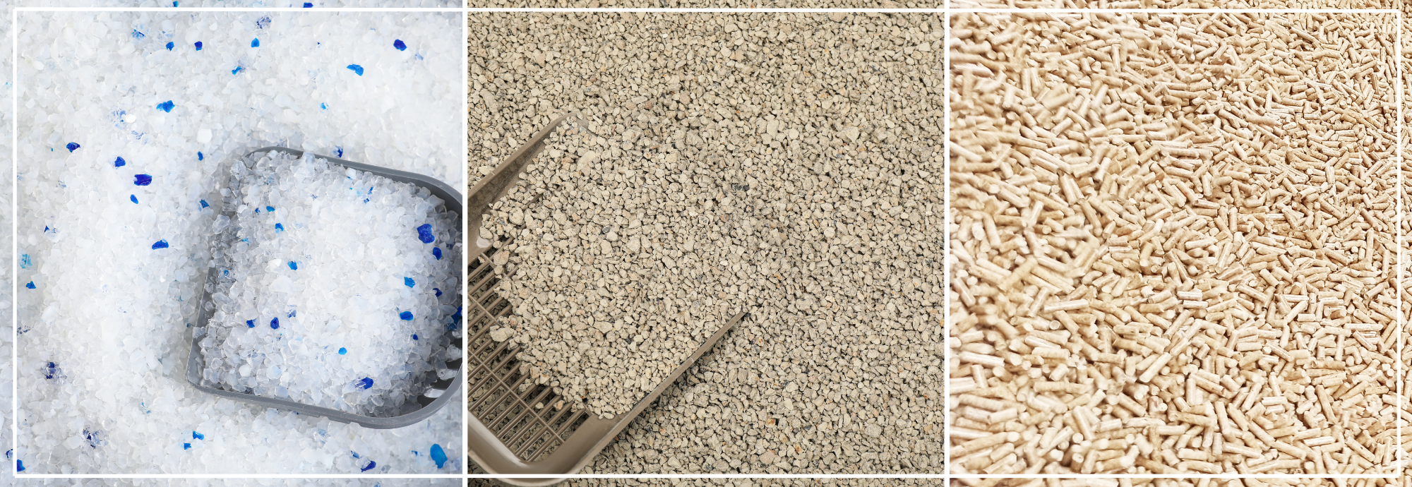 Kattenbakvulling kiezen: klontvormend, hout of silica.
