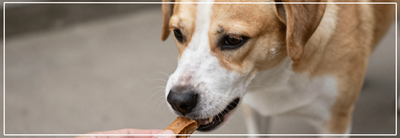 Hypoallergene natuurlijke snacks voor gevoelige huisdieren.