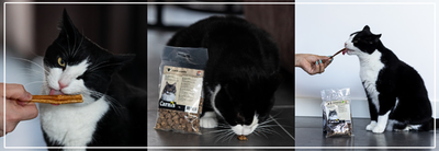 Gedroogde snacks voor katten. Gezond & veilig bij Nena’s Pets