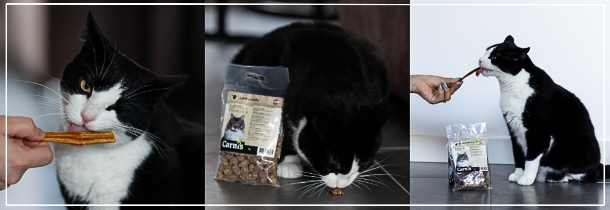 Gedroogde snacks voor katten. Gezond & veilig bij Nena’s Pets