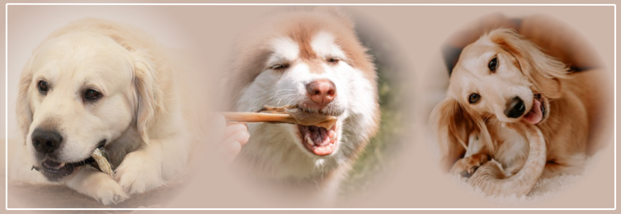 Gedroogde natuurlijke snacks voor honden.