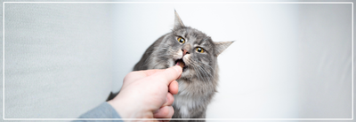 Natuurlijke kattensnacks. Verantwoord & Smakelijk bij Nena's Pets.