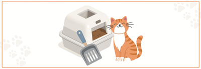 Kattenbak schoonmaken: tips, schema’s & middelen.