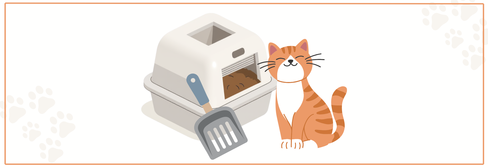 Kattenbak schoonmaken: tips, schema’s & middelen.