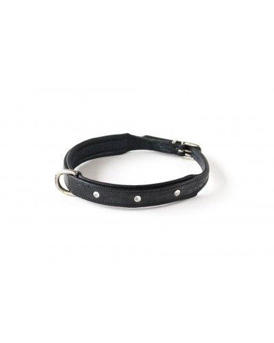 HB hondenhalsband Diamond - Nena's Pets 