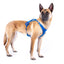 Curli New Belka comfort harnas