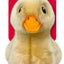 Kong toughz knuffels medium