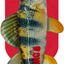 Kong wild shieldz