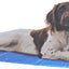 Kowloon Cool mat blauw bubble