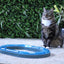 Boon kat speelgoed poezenparcours met 2 ballen