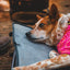 Ruffwear Mt. Everest Dog bed
