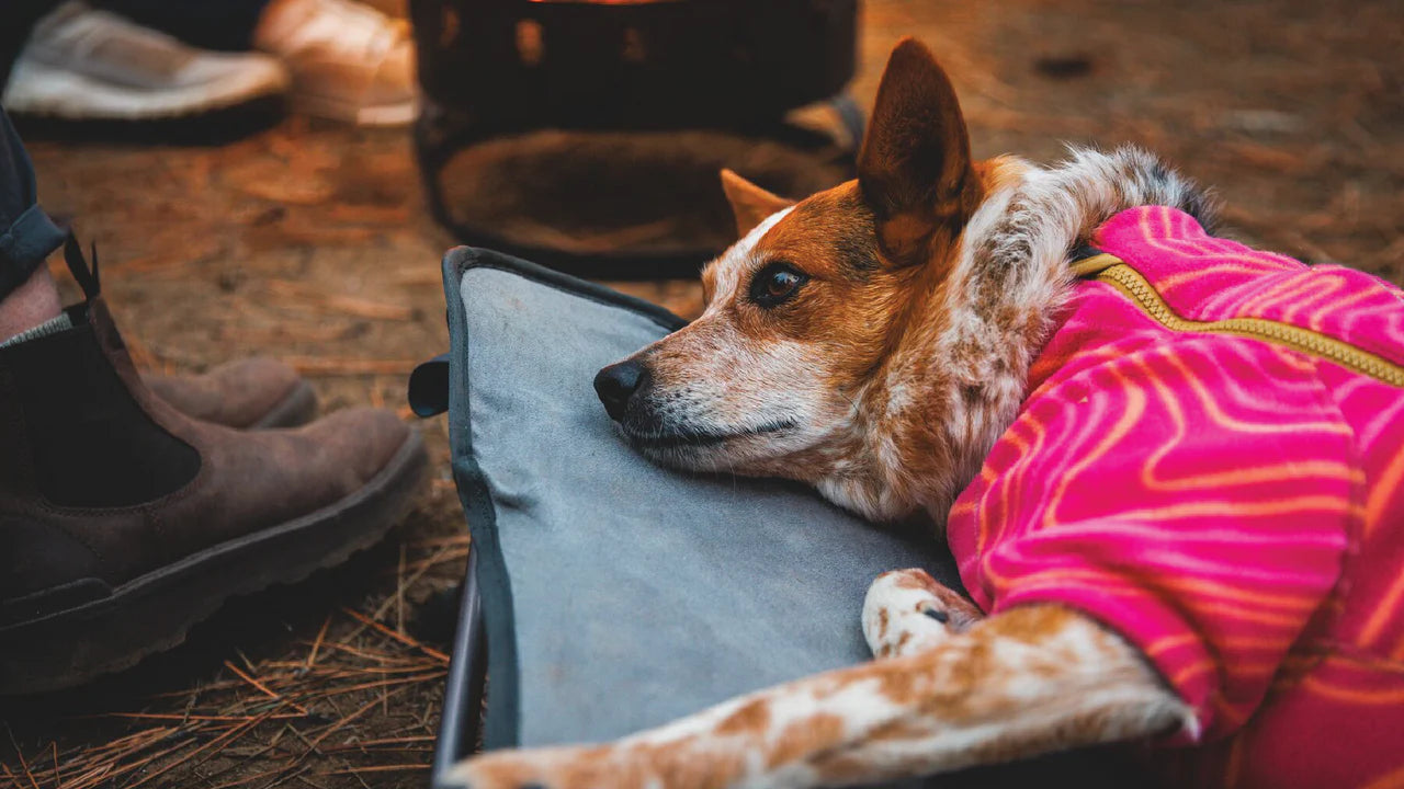 Ruffwear Mt. Everest Dog bed