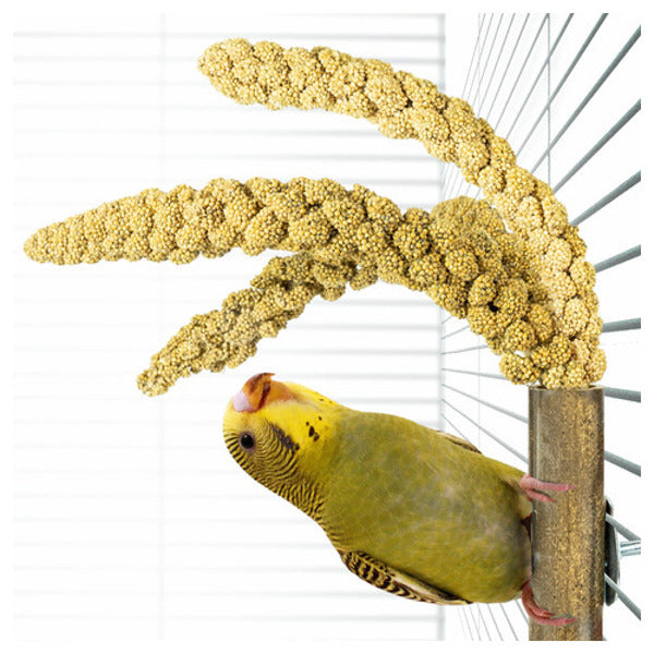 Bamboo grass keeper
