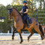 LeMieux dekje Self-Cool pad Dressuur Cool Blue
