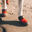 Ruffwear Grip Trex Dog Boots