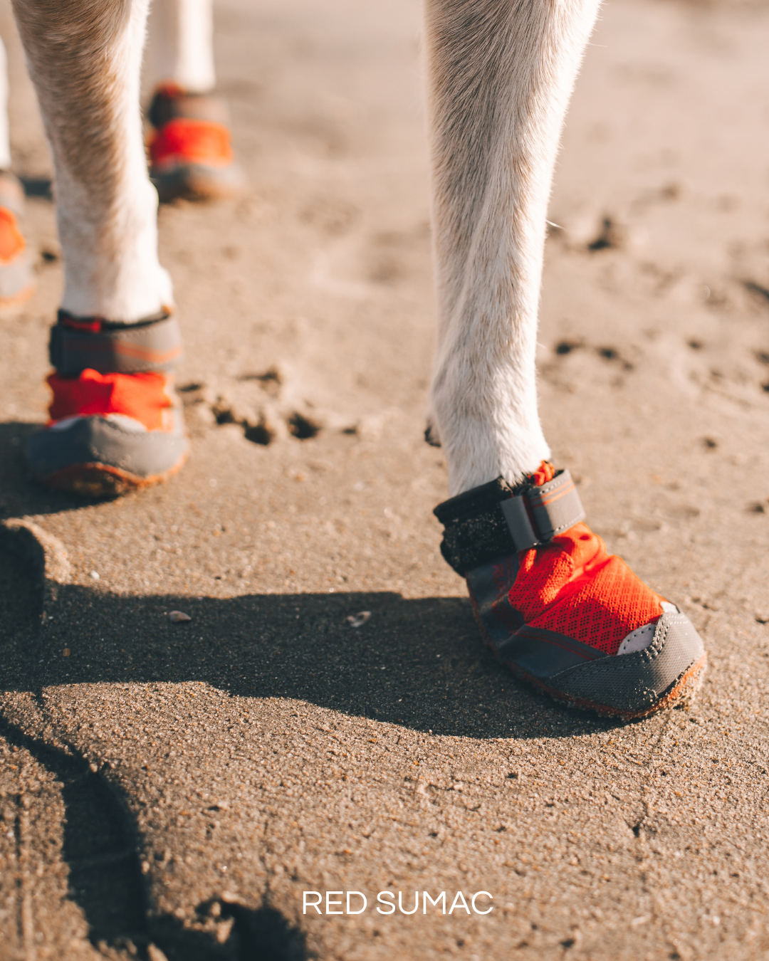 Ruffwear Grip Trex Dog Boots