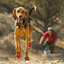 Ruffwear Grip Trex Dog Boots