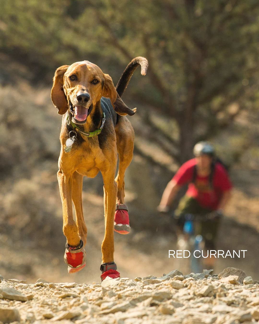 Ruffwear Grip Trex Dog Boots