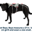 Doubleback Full Body Dog Harnas