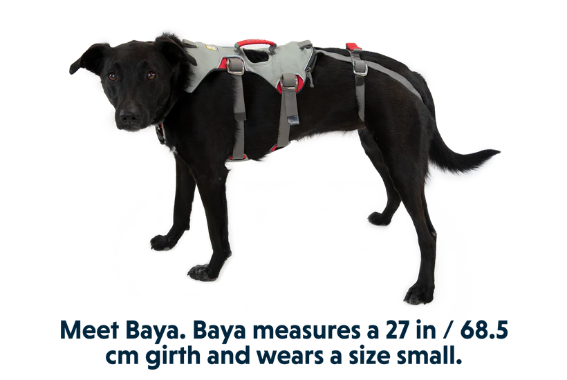 Doubleback Full Body Dog Harnas