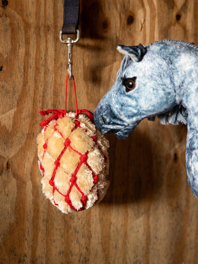 Lemieux Toy Pony Hooinet