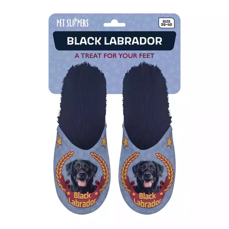 Pet Slippers