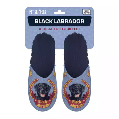 Pet Slippers