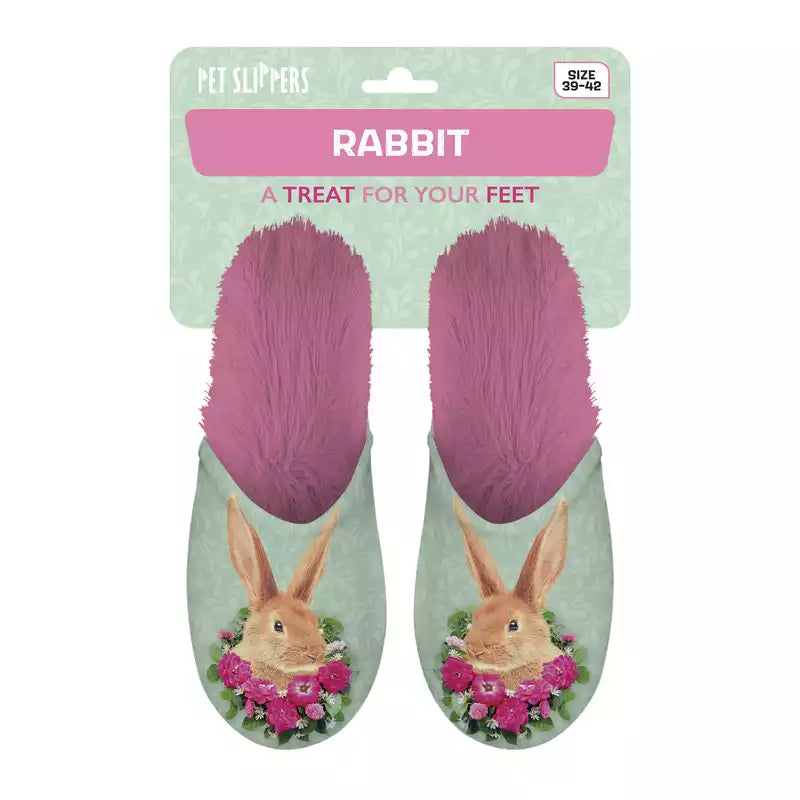 Pet Slippers