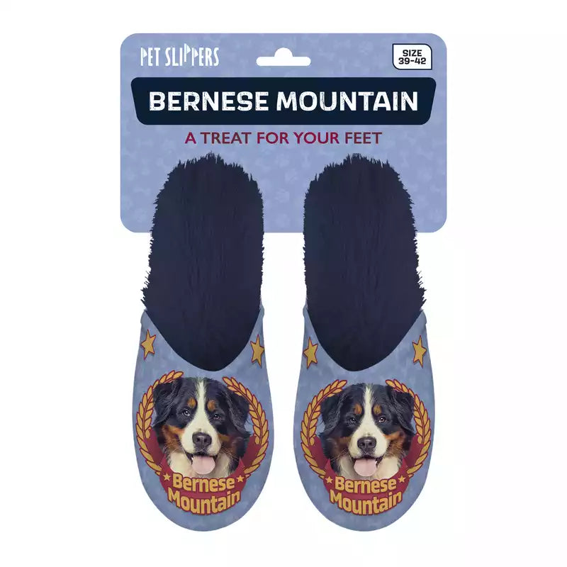 Pet Slippers