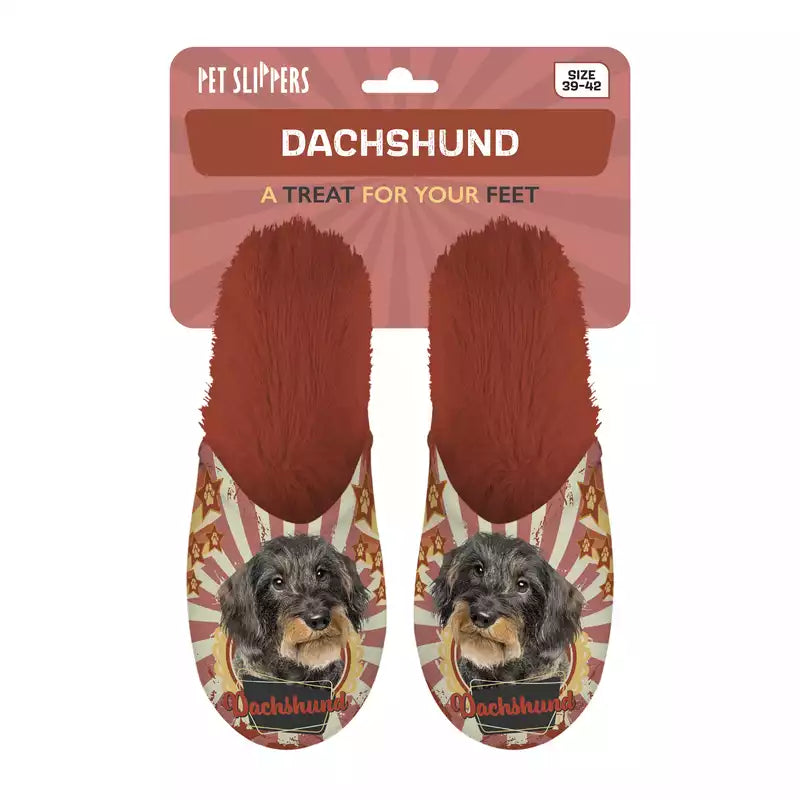 Pet Slippers