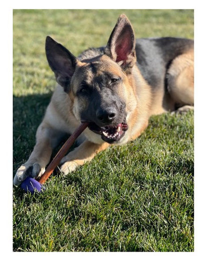 Stick Holder with Lock Paars