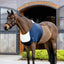 LeMieux Sensitive Anti Rub Bib Navy