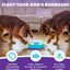 Nina Ottosson Paw N' Play Blauw|Groen