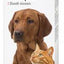 Beaphar vlooienshampoo - Nena's Pets 