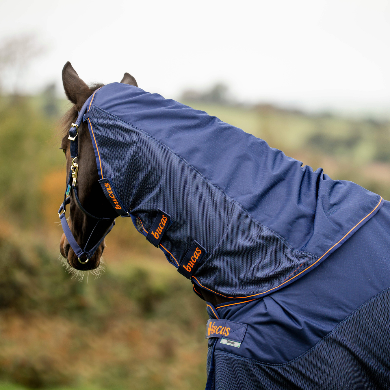 Bucas Therapy X-range Rain