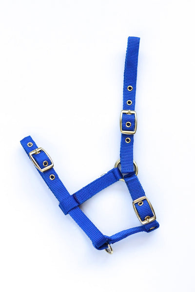 HB Nylon veulenhalster