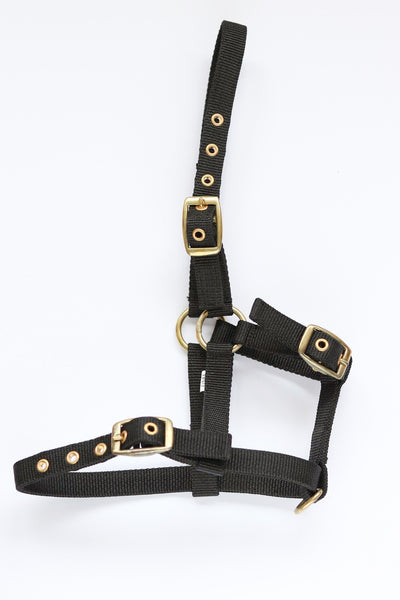 HB Nylon veulenhalster
