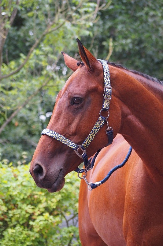 HB Crazy Gold halster
