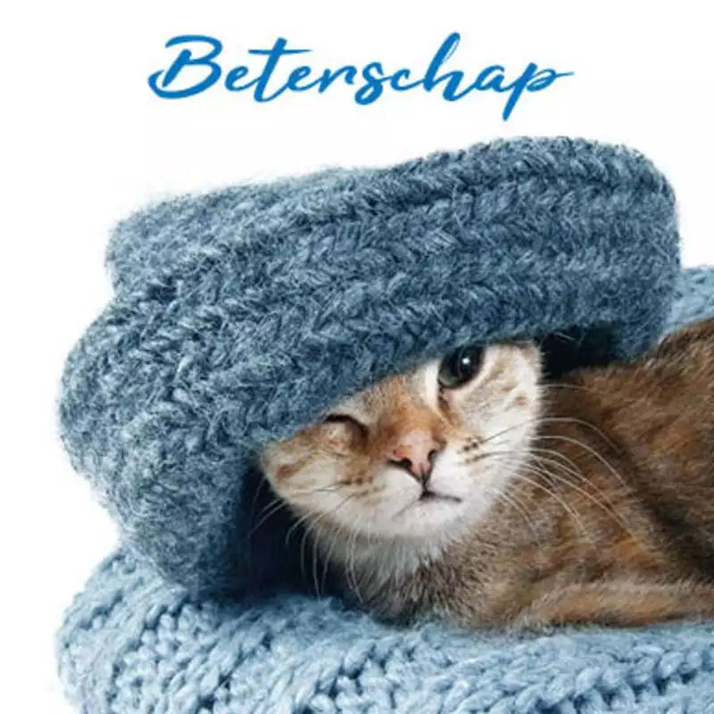 Wenskaarten