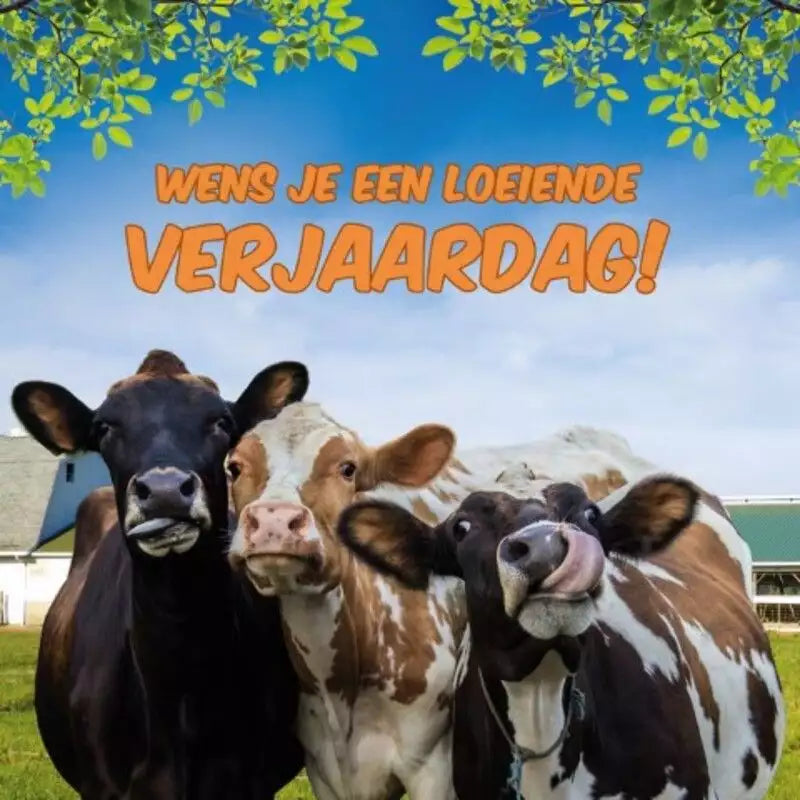 Wenskaarten