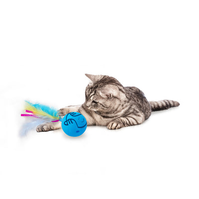 AFP Modern Cat - Dizzy Spinner