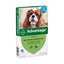 Advantage hond korting ivm datum