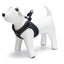 Beeztees Premium Parinca Instaptuig - Nena's Pets 