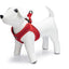Beeztees Premium Parinca Instaptuig - Nena's Pets 