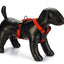 Beeztees Premium Parinca Y tuig - Nena's Pets 