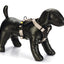 Beeztees Premium Parinca Y tuig - Nena's Pets 