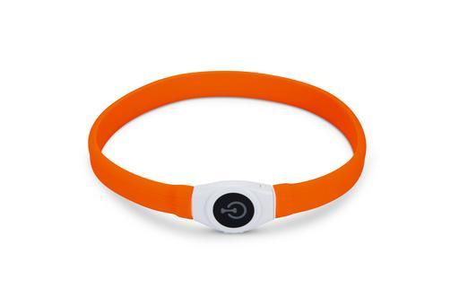 Beeztees Safety Gear Glowy - lichtgevende Halsband Hond - Nena's Pets 