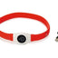 Beeztees Safety Gear Glowy - lichtgevende Halsband Hond - Nena's Pets 