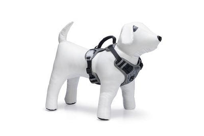 Beeztees Safety Gear Parinca Premium Y-Tuig LED- Hondentuig - Nena's Pets 